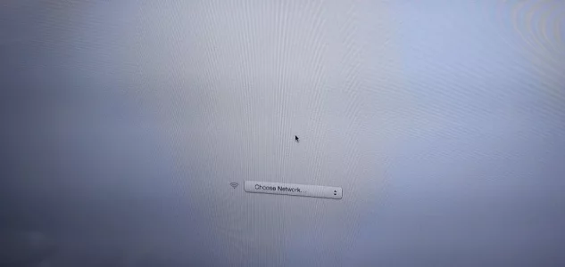 15872951878326357545792137537972.webp