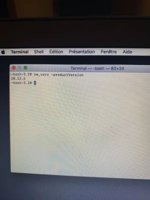 C5091ABB-DB9E-4AC7-B863-609B3EB826CD.webp