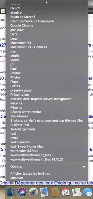 Capture d’écran 2020-04-24 à 15.06.09.webp