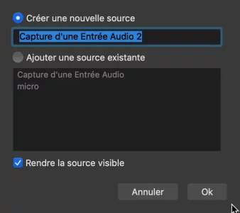 Capture d’écran 2020-04-27 à 18.56.12.webp