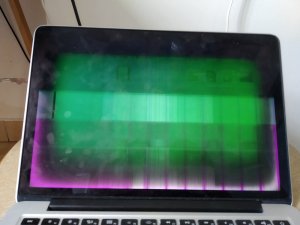 95542065_565416274359958_1122627459590651904_n.jpg