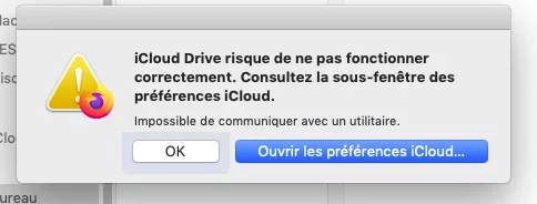 Capture d’écran 2020-04-30 à 17.18.33.webp
