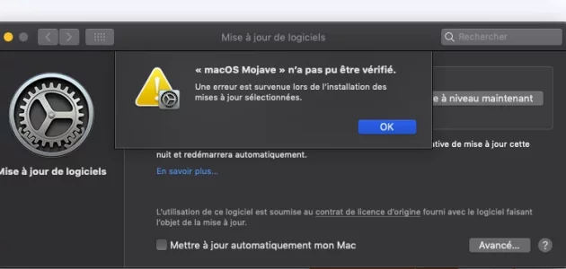 Capture d’écran 2020-05-01 à 20.13.54.webp