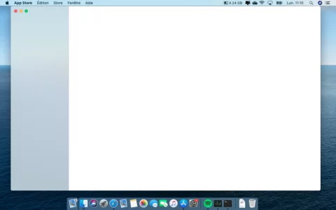 Capture d’écran 2020-05-25 à 11.10.18 (2).webp