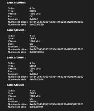 Capture d’écran 2020-06-08 à 20.36.55.webp
