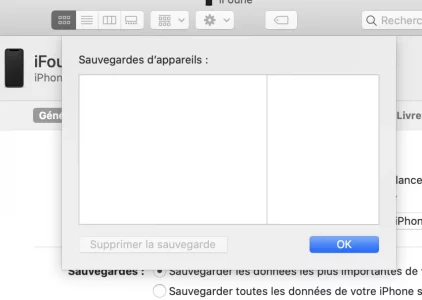 Capture d’écran 2020-09-10 à 17.24.13.webp
