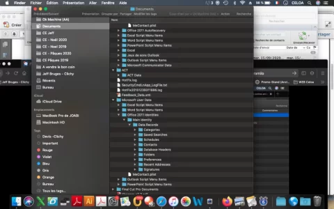 Capture d’écran 2020-09-15 à 6.24.53 PM.webp