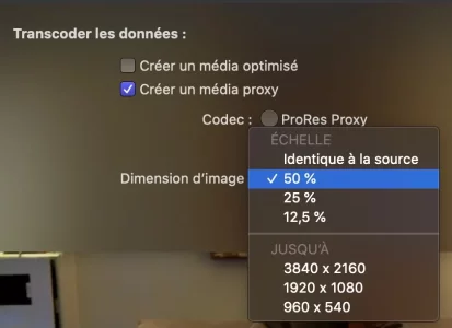 Capture d’écran 2020-11-03 à 10.02.35.webp