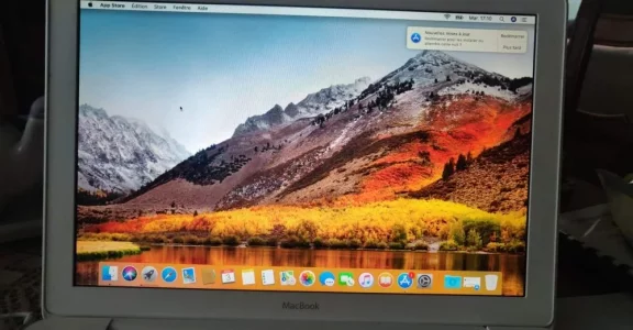 received_365261234795190.webp