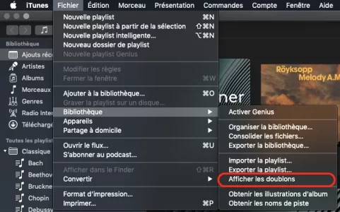 itunes_fichier_les doublons.webp