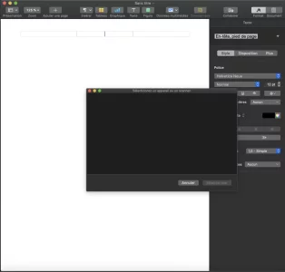 Capture d’écran 2020-11-23 à 10.59.14.webp