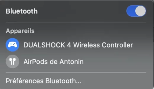 Capture d’écran 2020-11-23 à 12.26.26.webp