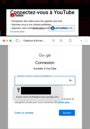 Capture d’écran 2020-11-26 à 15.03.51.webp