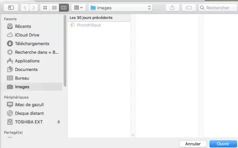PastedGraphic-2.webp