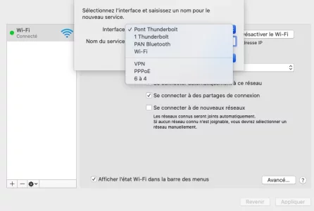 Capture d’écran 2020-12-03 à 17.02.49.webp