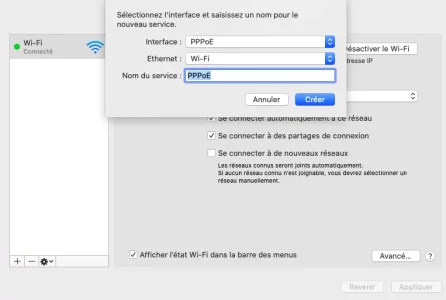 Capture d’écran 2020-12-03 à 17.04.30.webp