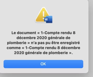 Capture d’écran 2020-12-08 à 15.20.35.webp