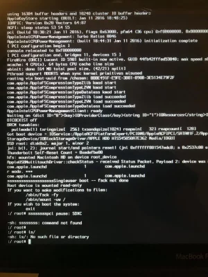 131131992_1674802499359999_60496628184461958_n.webp