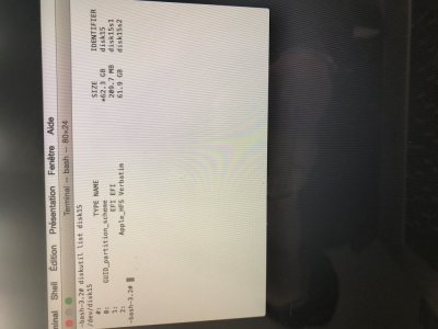 bug mac 8.jpg