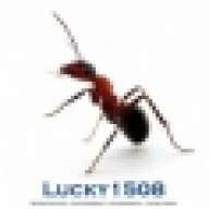 Lucky1508
