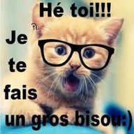bardeau.photo
