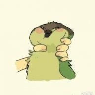 Marococo