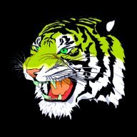 tigers