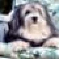 patpatoune