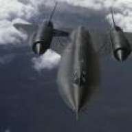 black_bird