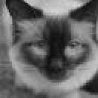chiron