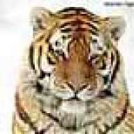 marctiger