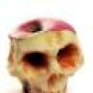 Baptsau