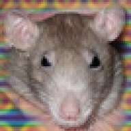 hedgedog73