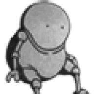 pipof