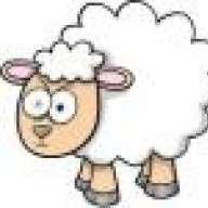 Crazy_mouton