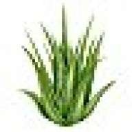 Aloe-Vera