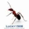 Lucky1508