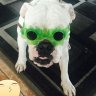 froggy76
