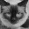 chiron
