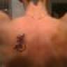 just1ce