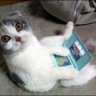 jess6lilcat