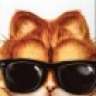 Garfield fait son Mac