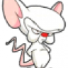 cortex29