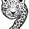 IBOOK94
