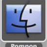 Pompon
