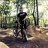 bullitt_rider