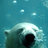 WhiteBear77