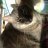 LadyChaton