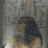 Mamicheleb