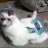 jess6lilcat